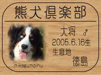 hana����̂g�o�ւf�n�I